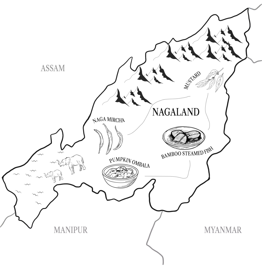 NAGALANDTRANS-small